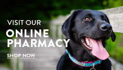 Visit Our Online Pharmacy. Shop now
